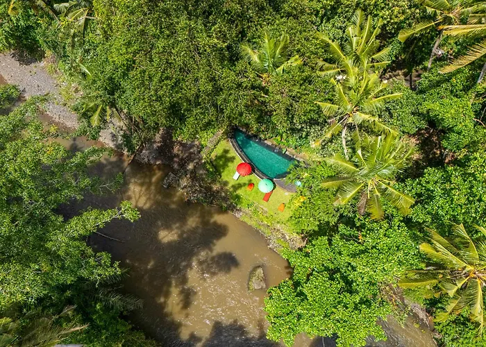 Bamboo Turtles Ecolodge Ubud 